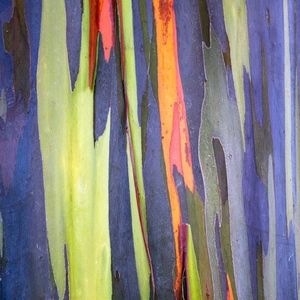 Meet your Posher, Misty